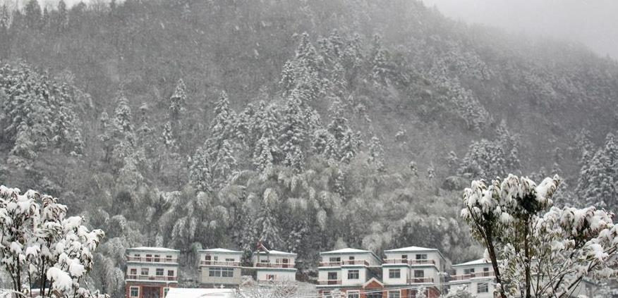 暖氣片十大品牌